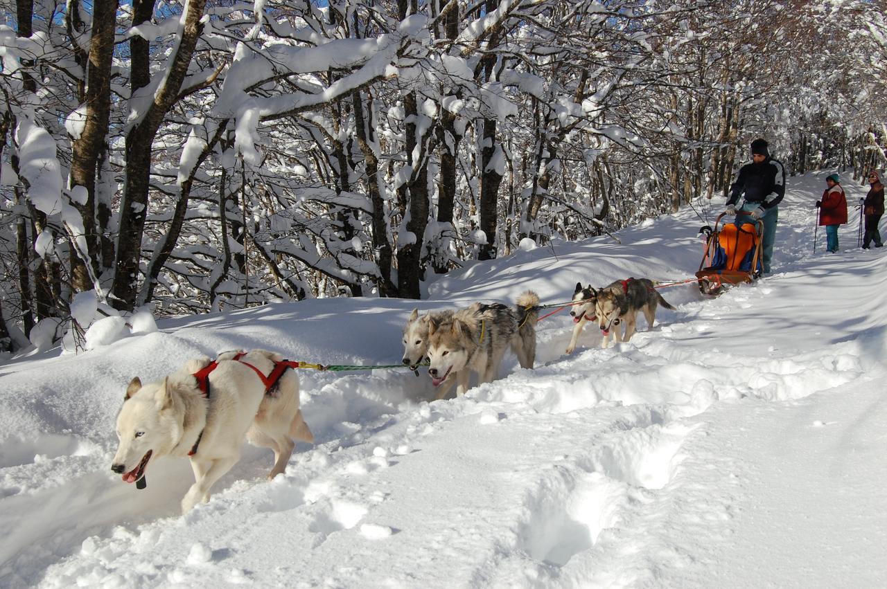 Rifugio Casello Margherita Camigliatello Silano Zewnętrze zdjęcie
